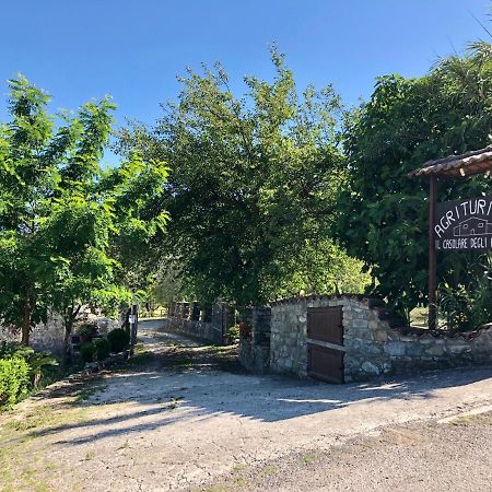 Villa Il Casolare degli Alburni Castelcivita Esterno foto